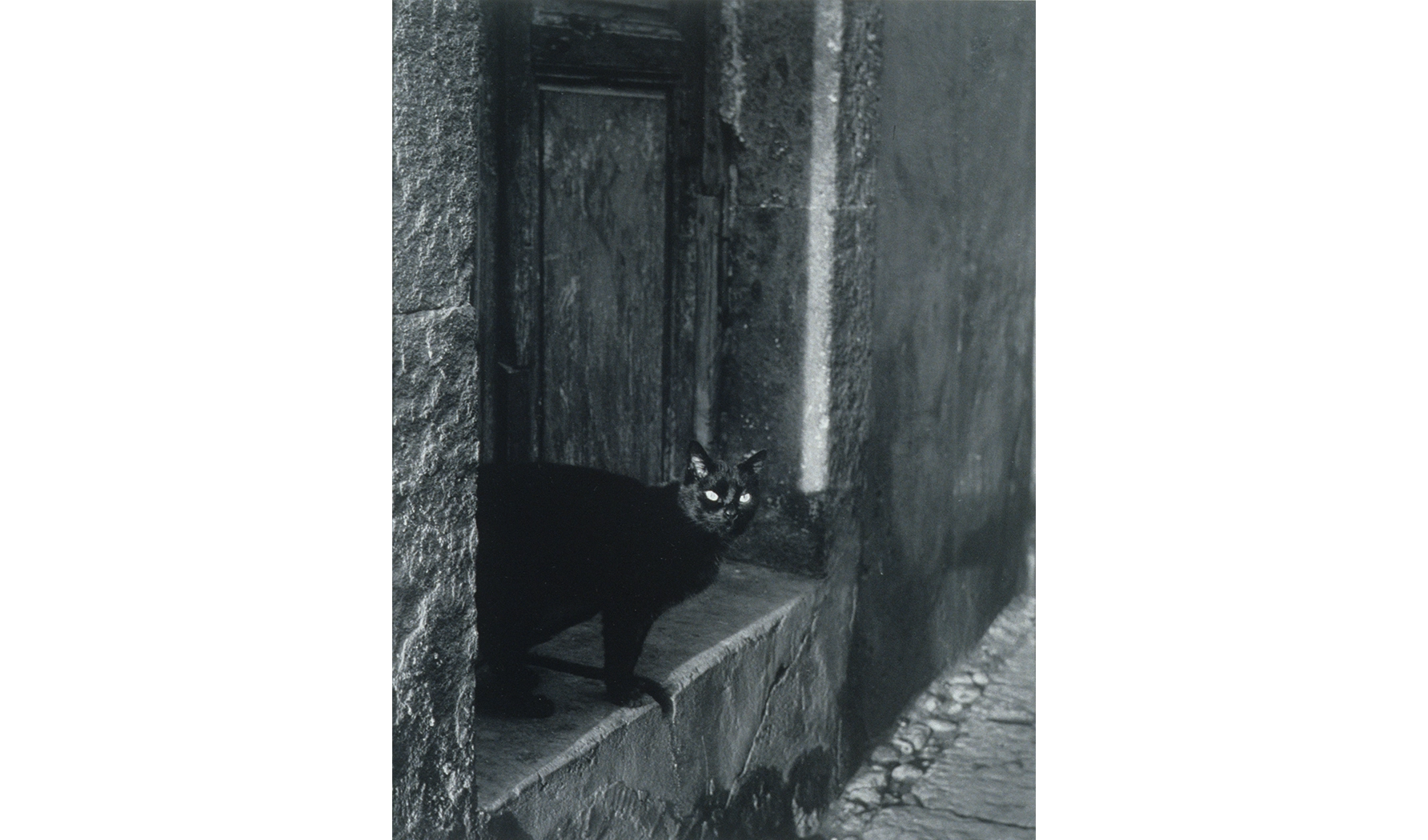 black and white photo of a black cat peeking out of a stone doorway