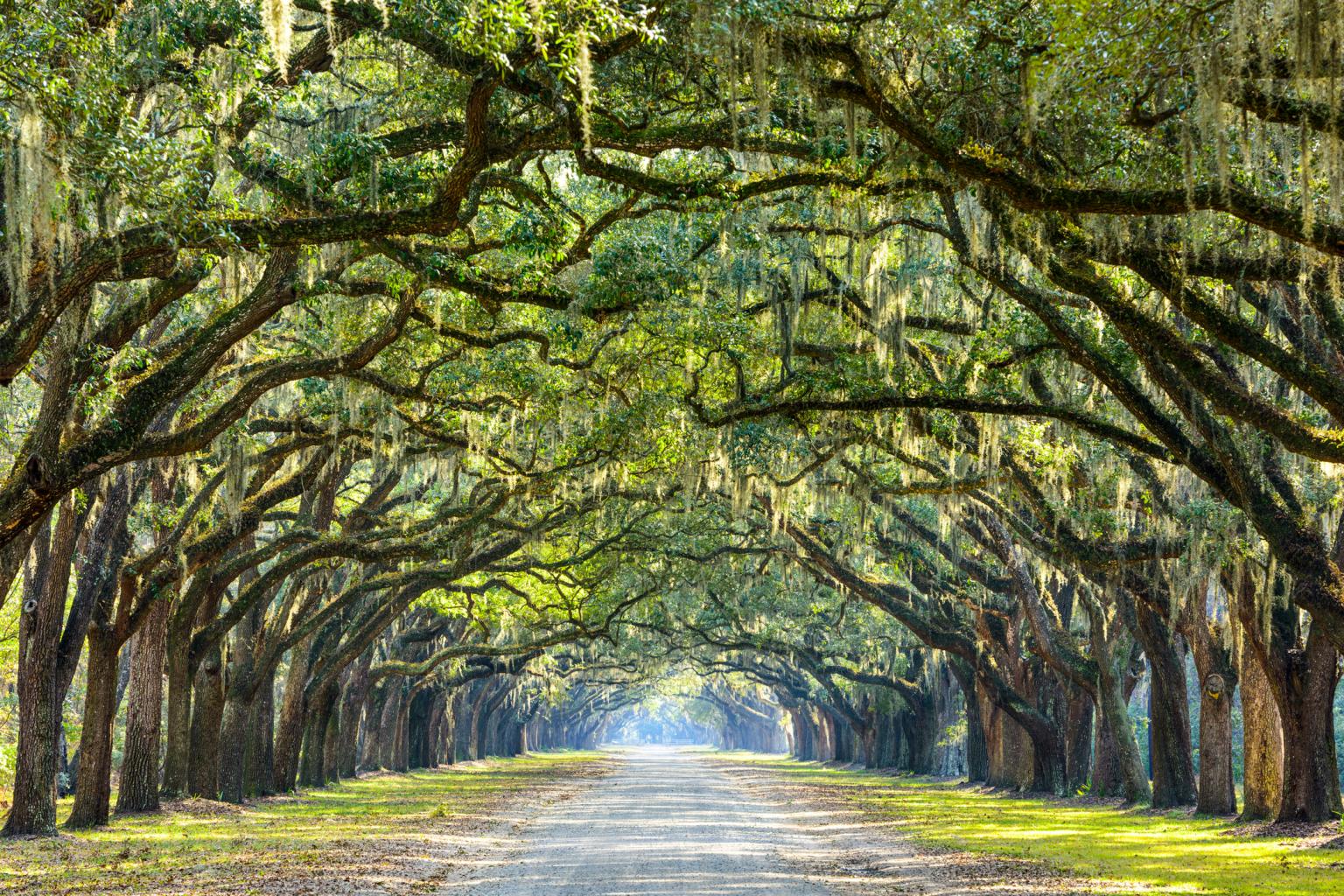 Wormsloe