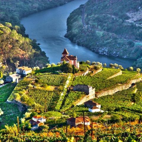 Douro Valley, Portugal small