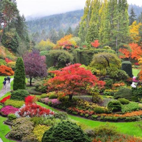 Italian Garden, Butchart Gardens, photo courtesy of Butchart Gardens 2