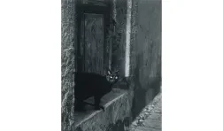 black and white photo of a black cat peeking out of a stone doorway