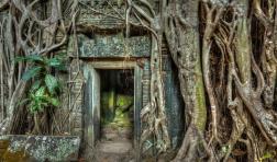 Ta Prohm