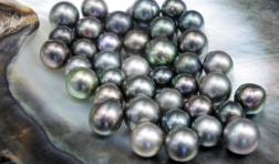 Tahitian black pearls